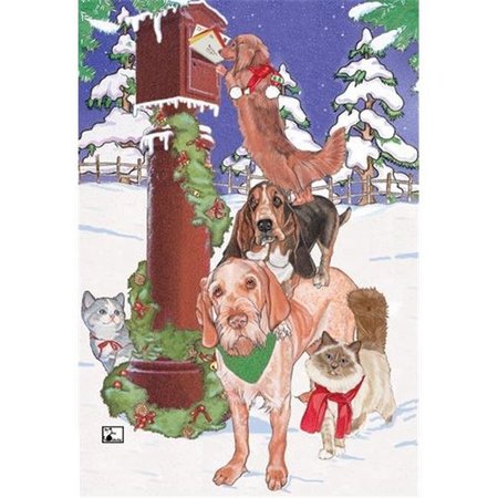 PIPSQUEAK PRODUCTIONS Pipsqueak Productions C443 Mix Dog With Cat Holiday Boxed Cards C443
